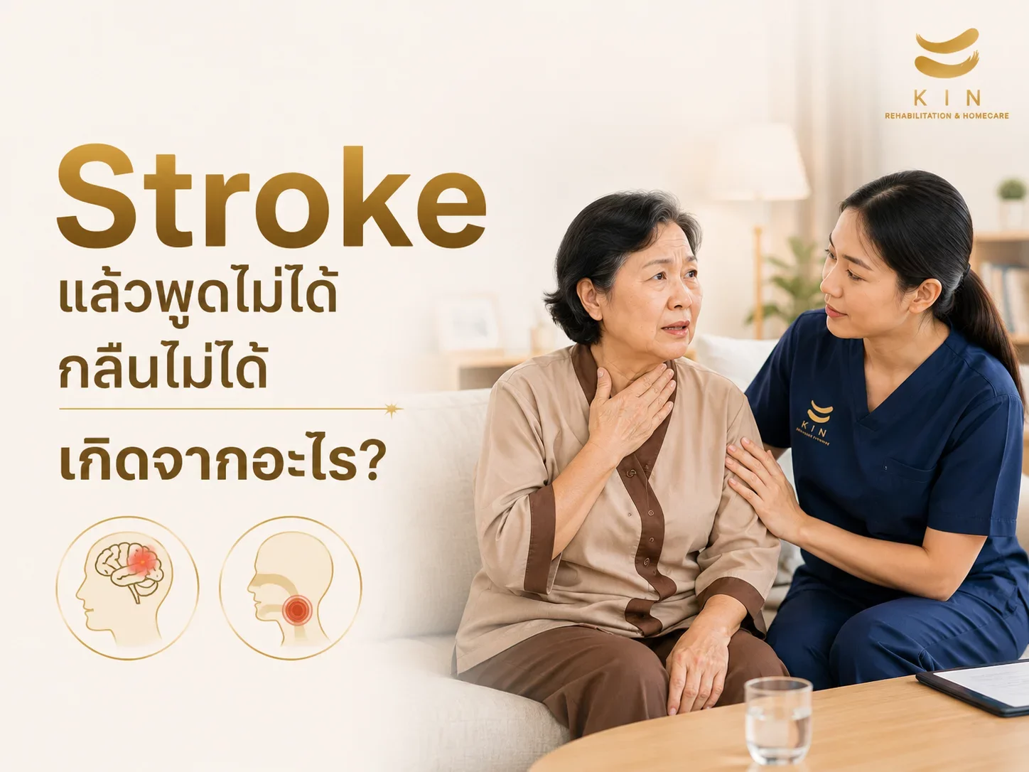 "Post-Stroke Aphasia and Dysphagia: Causes, Recovery Potential, and Step-by-Step Speech and Swallowing Therapy Guide"