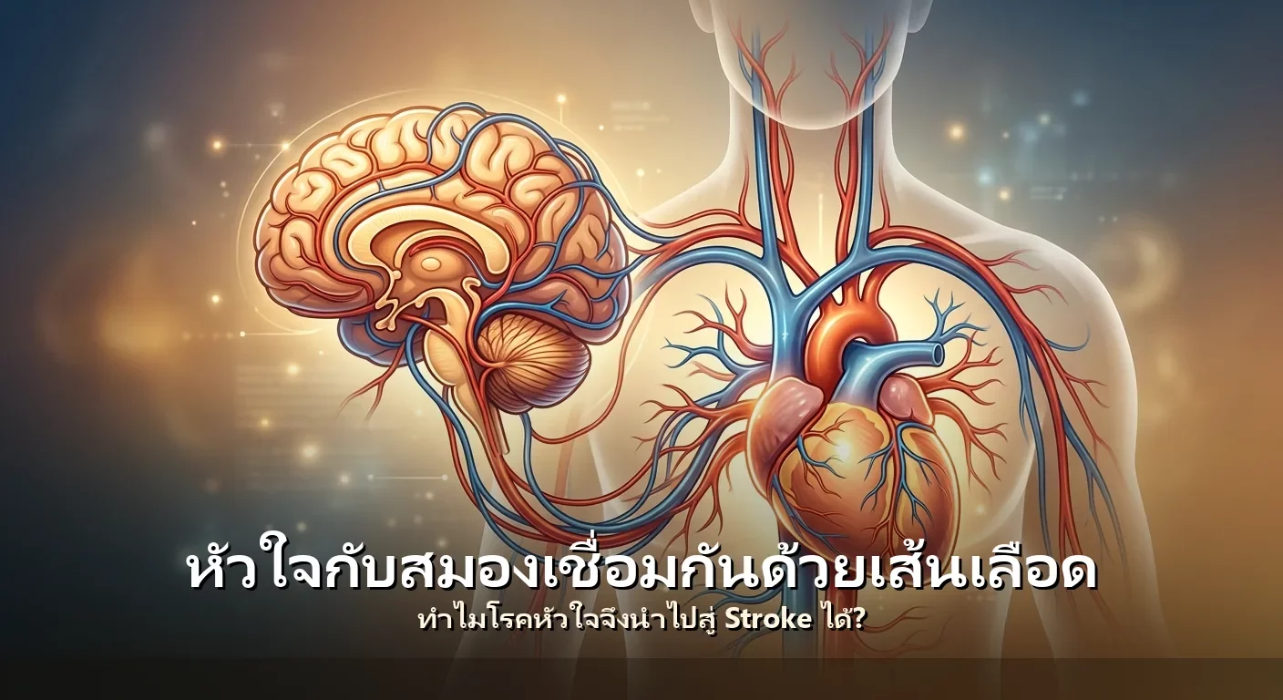 หัวใจกับสมองเชื่อมกันด้วยเส้นเลือด: ทำไมโรคหัวใจจึงนำไปสู่ Stroke ได้?